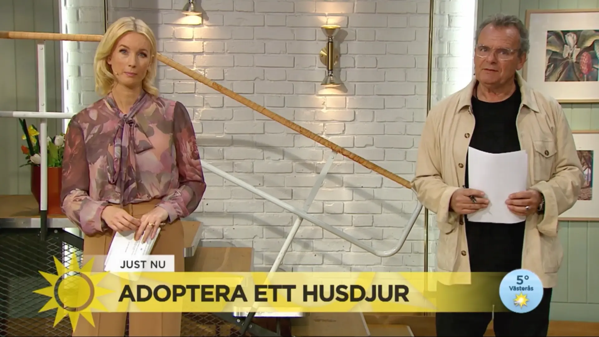 TV4 Nyhetsmorgon – Adoptera ett husdjur