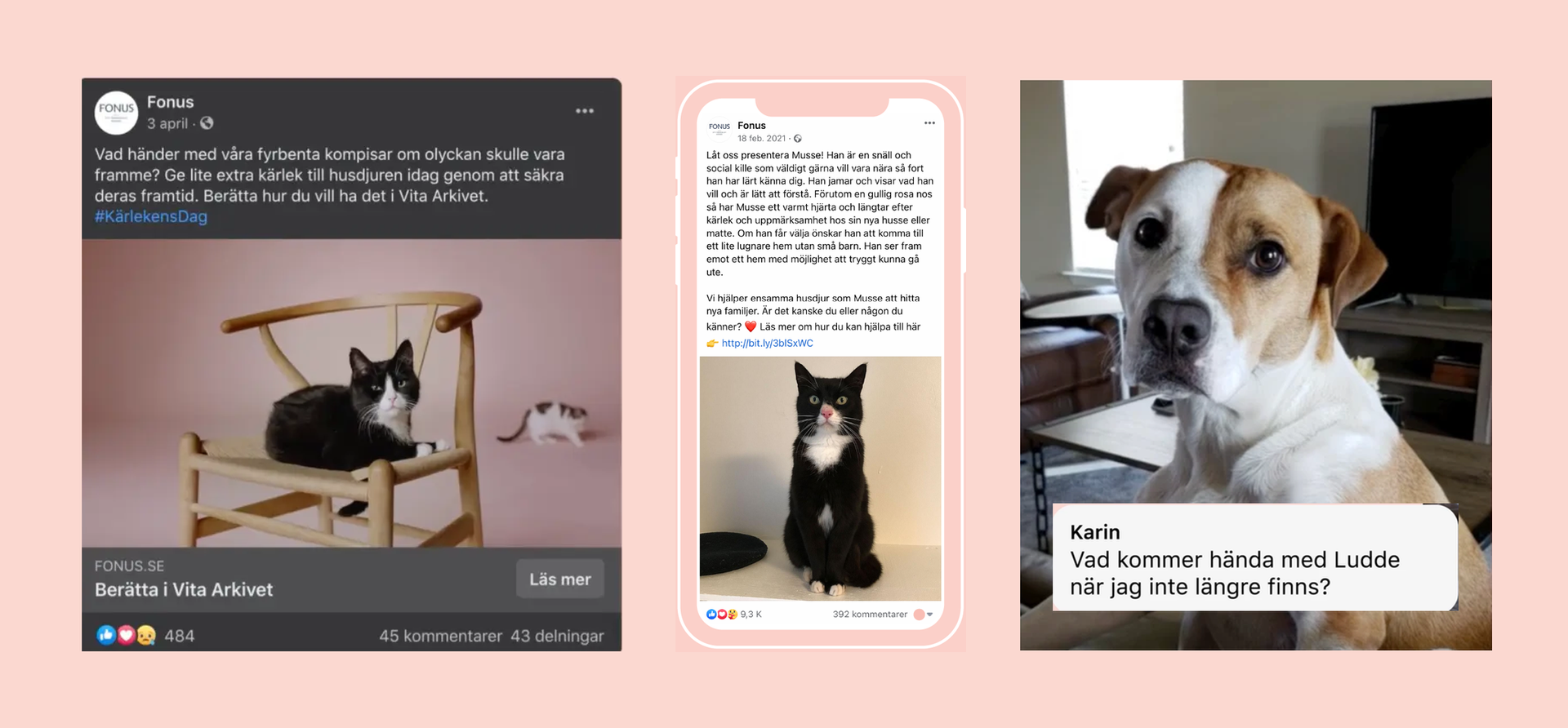 Fonus – the campaign on social media and the ad about Ludde